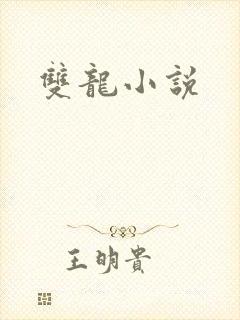 双龙小说