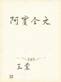 阿宾全文
