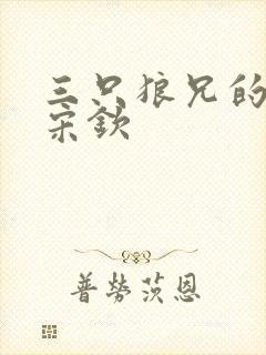 三只狼兄的宠妻宋钦