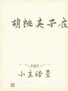 胡桃夹子夜未眠