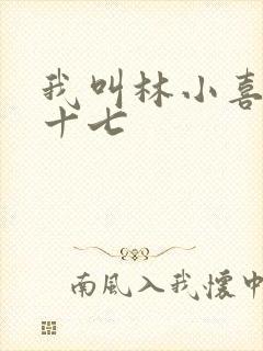 我叫林小喜今年十七封面