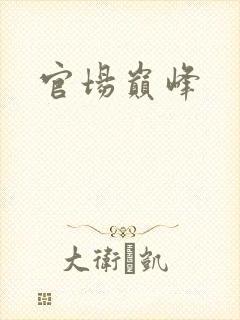 官场巅峰