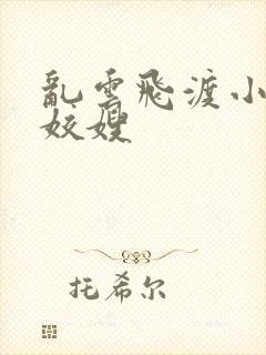 乱云飞渡小说之姣嫂