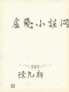 卢飞小说网