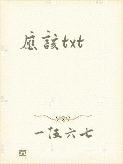 应该txt