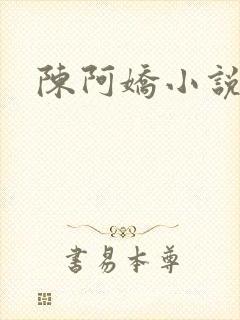 陈阿娇小说封面