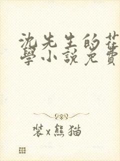 沈先生的花式教学小说免费