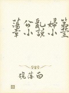 荡公乱妇第51章小说小莹