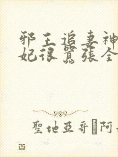 邪王追妻神医狂妃很嚣张全文免费