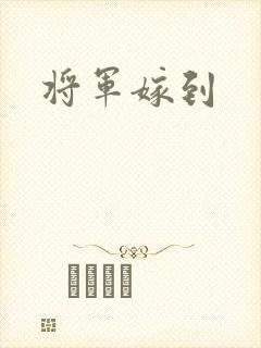 将军嫁到
