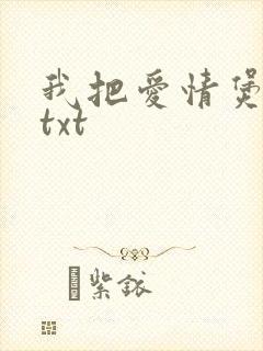我把爱情煲成汤txt封面