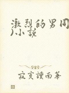 激烈的男同(h)小说