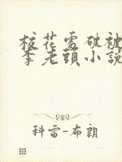 校花处破被灌满李老头小说封面