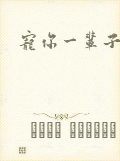 宠你一辈子封面