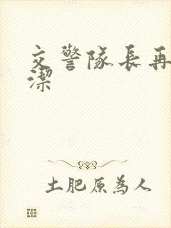 交警队长再遇白洁