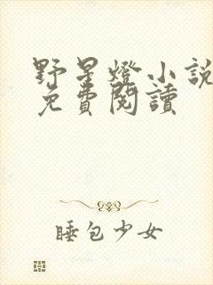 野星灯小说全文免费阅读