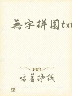 无字拼图txt封面