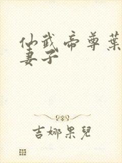 仙武帝尊叶辰的妻子