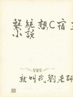 系统想C宿主的小说