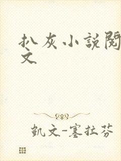 扒灰小说阅读全文封面