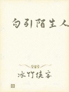 勾引陌生人封面