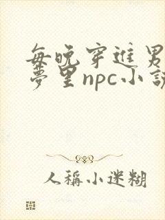 每晚穿进男神的梦里npc小说