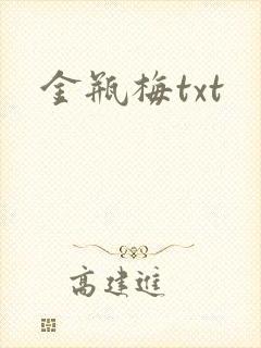 金瓶梅txt封面
