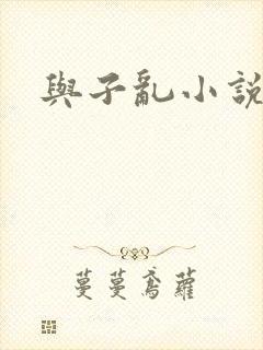 与子乱小说封面