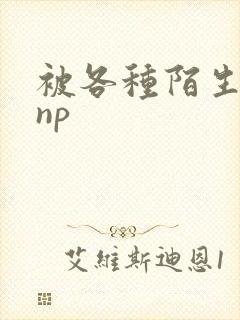 被各种陌生人 np