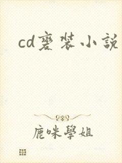 cd变装小说