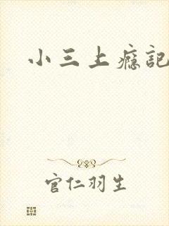 小三上瘾记