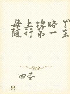 母上攻略 竹影随行第一主板