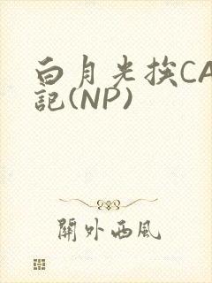 白月光挨CAO记(NP)
