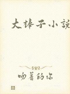 大棒子小说