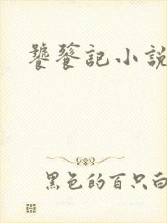 饕餮记小说