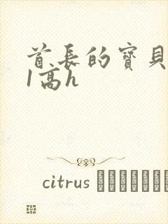 首长的宝贝1v1高h