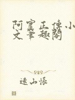 阿宾正传小说全文笔趣阁