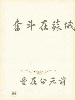 奋斗在苏俄封面