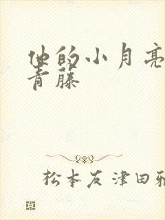 他的小月亮by青藤