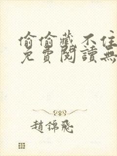 偷偷藏不住全文免费阅读无删减封面