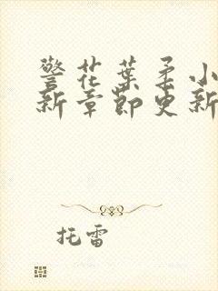 警花叶柔小说最新章节更新封面