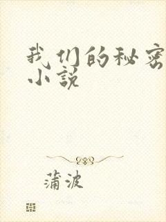 我们的秘密泰剧小说