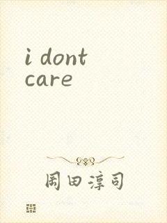 i dont care封面