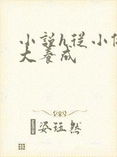 小说h从小做到大养成封面