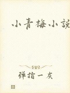 小青梅小说封面