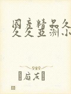 国产精品久久久久久亚洲小说