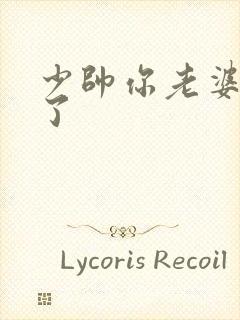 少帅你老婆又跑了