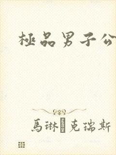 极品男子公寓封面