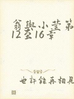 翁与小莹第十部12至16章