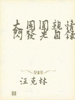 大团圆亲情会闪闪发光目录封面